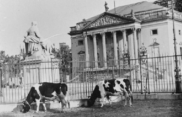 Lehrstuhl für Allgemeine Geschichte der Neuesten Zeit